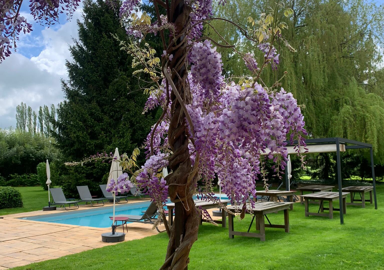 LE JARDIN